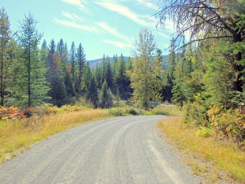 Pedaling towards Fatty Creek Road, on the GDMBR.